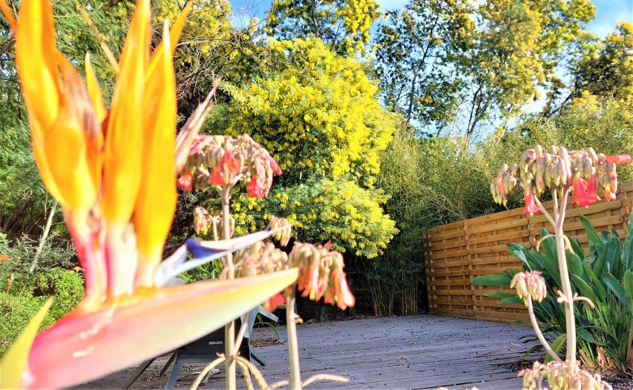 Hotel Les Jardins De Bormes, Sauna & Jacuzzi ภายนอก รูปภาพ