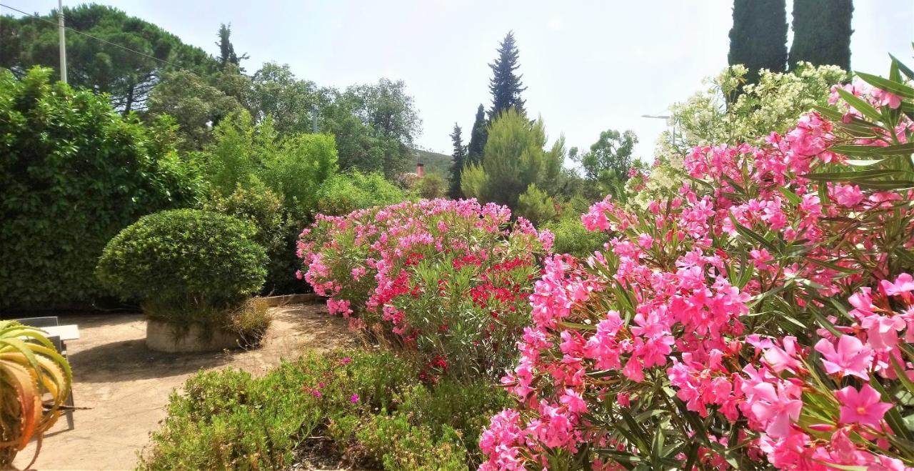 Hotel Les Jardins De Bormes, Sauna & Jacuzzi ภายนอก รูปภาพ